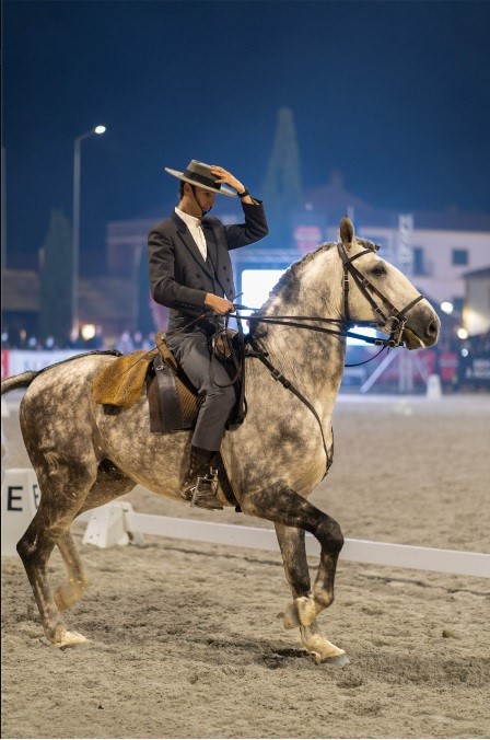 Feira do Cavalo Ponte de Lima abre portas amanhã